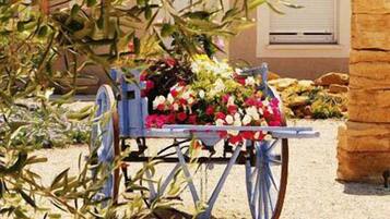 A cart filled with colorful flowers parked in front of a building with a beige facade and a window with closed blinds.