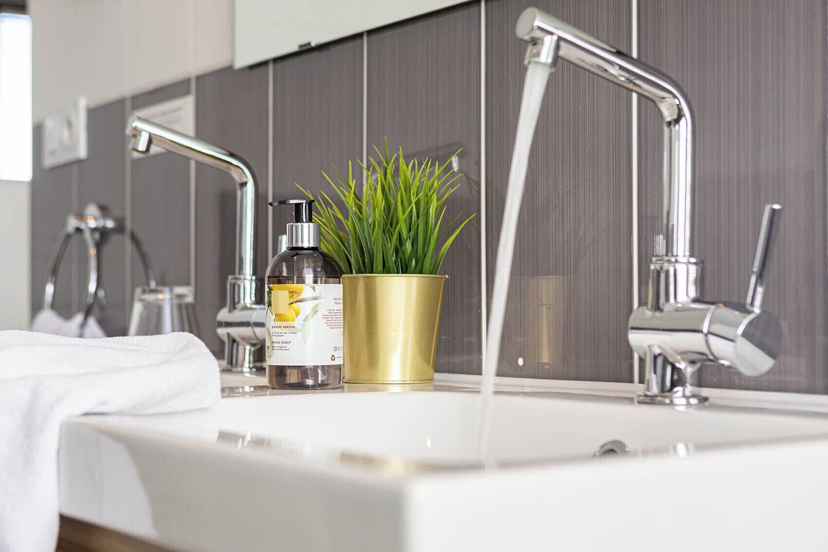 A bathroom with a white sink, chrome faucets, a bottle of soap, and a potted plant.