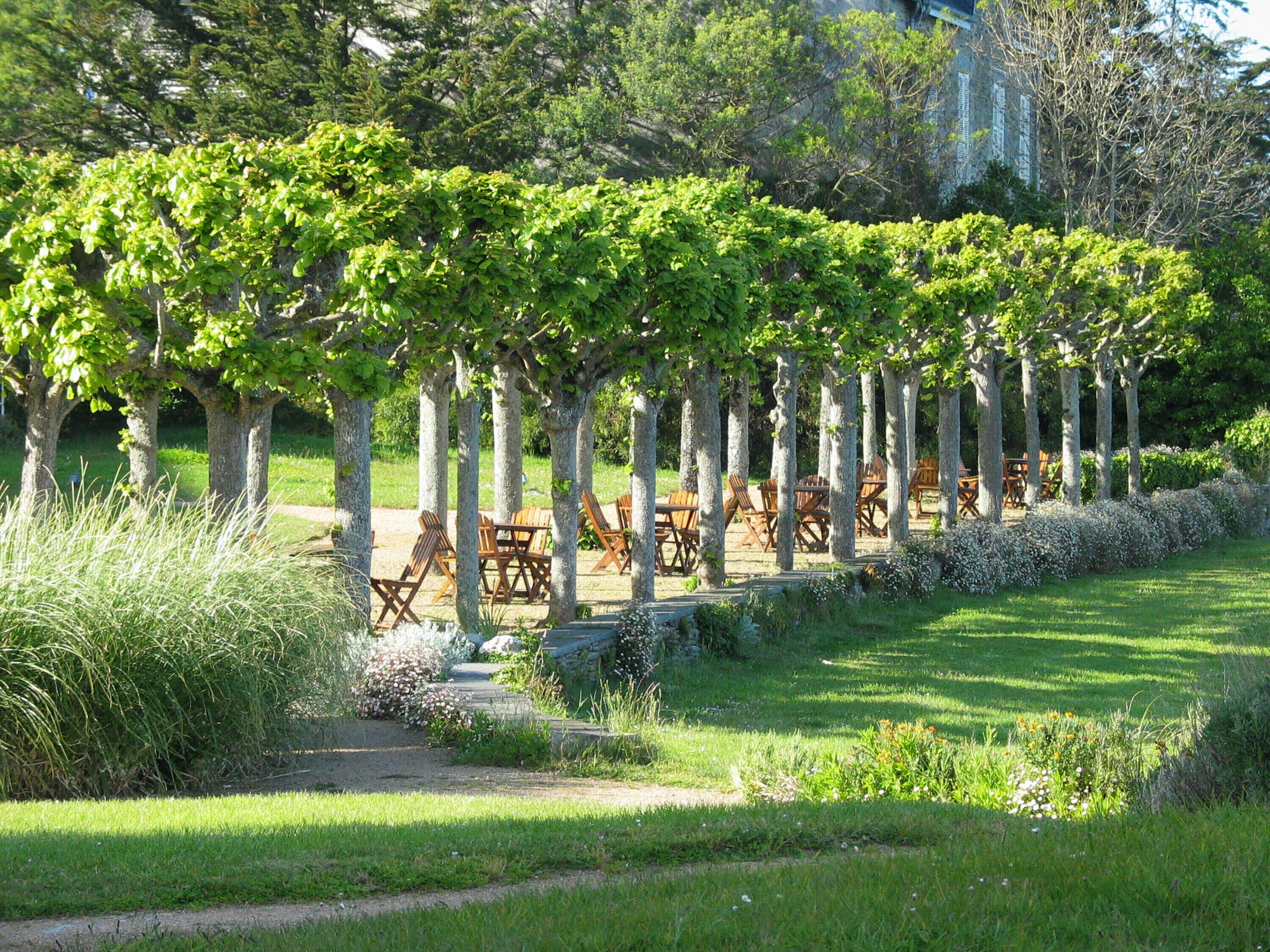 A garden with a pergola covered in green vines, wooden tables, and chairs arranged for outdoor dining.