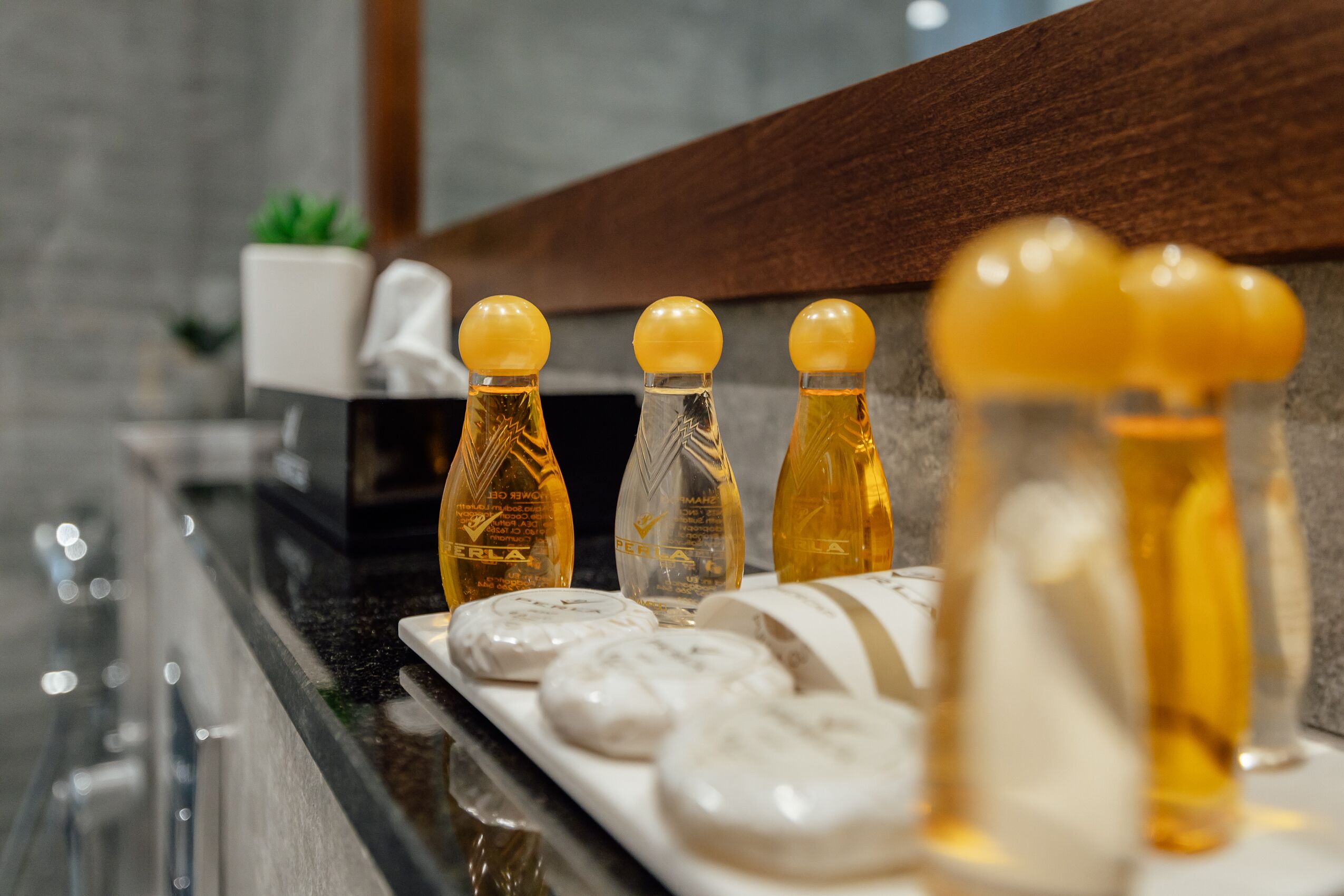 shower, free toiletries, hair dryer, bathrobes