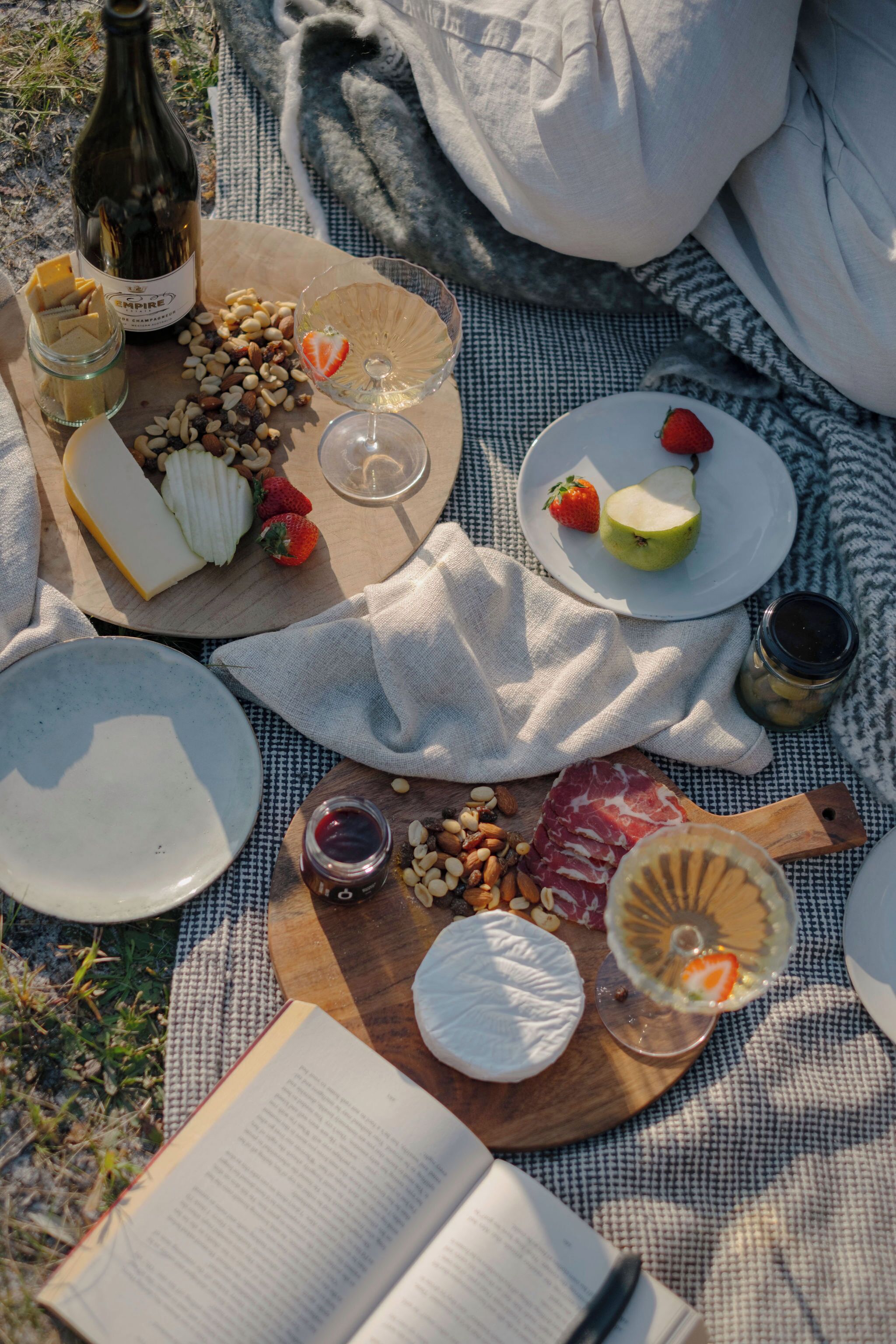 A picnic setup with cheese, fruits, nuts, and a book on a blanket.