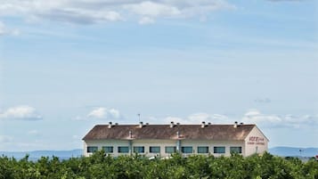 A hotel with a flat roof and multiple windows, surrounded by a vineyard.