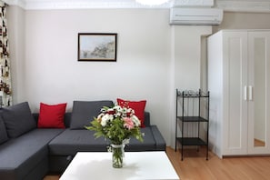 82-inch TV with satellite channels, DVD player - Ekim Apart (Istanbul)