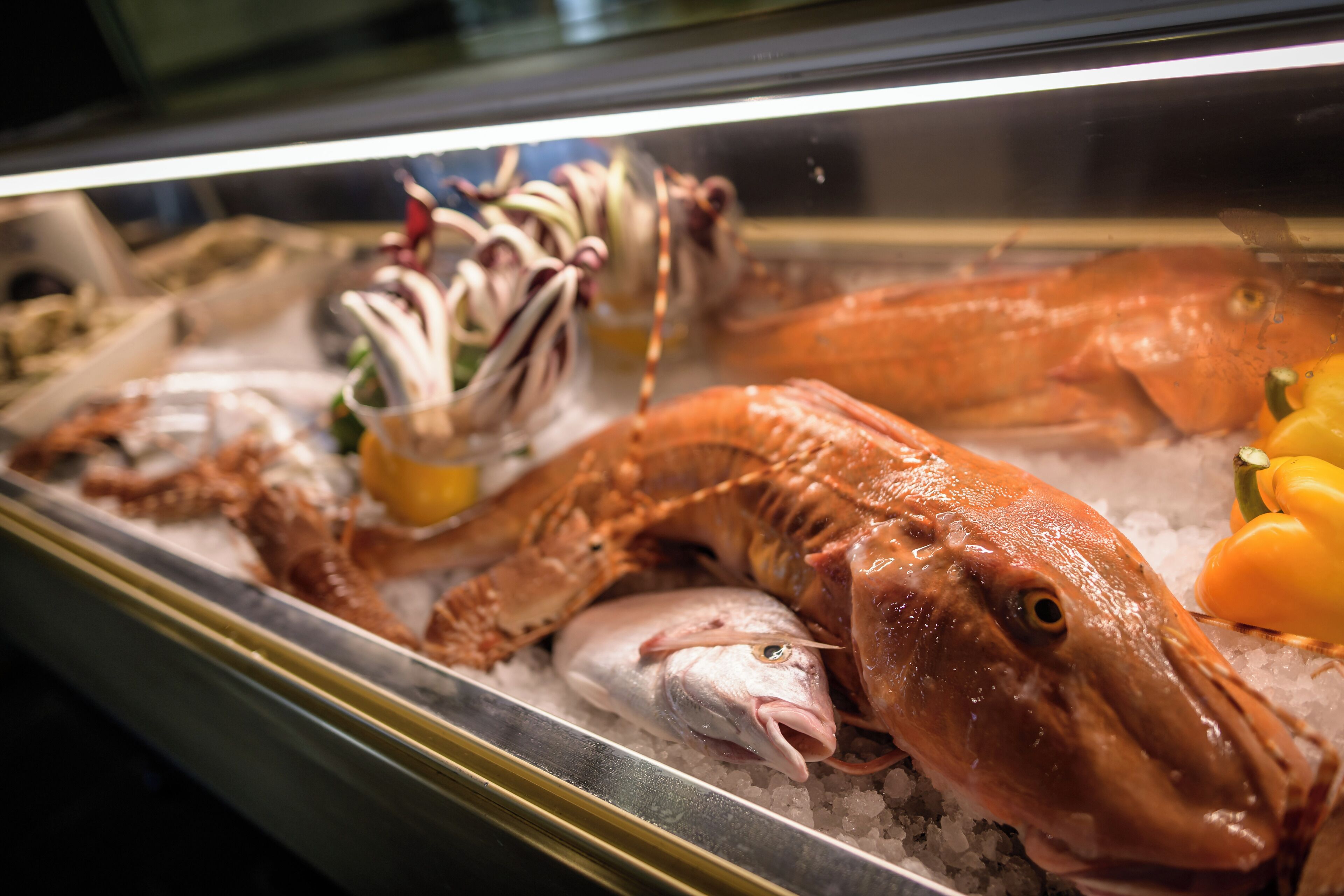 Foto - Manuelina Taste Hotel