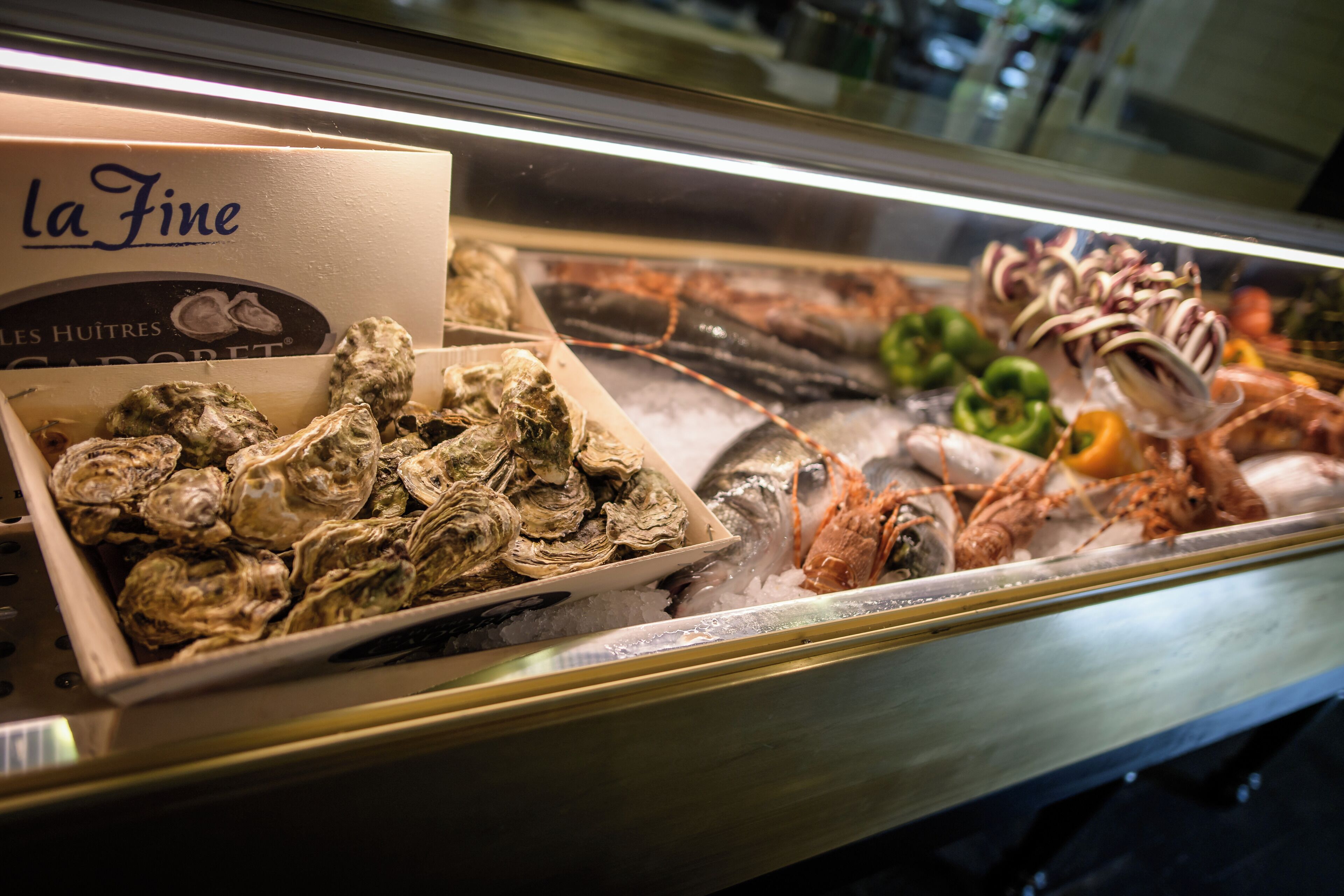 Foto - Manuelina Taste Hotel