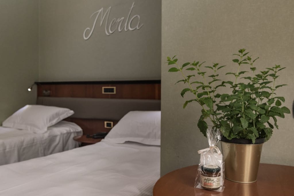 Foto - Manuelina Taste Hotel