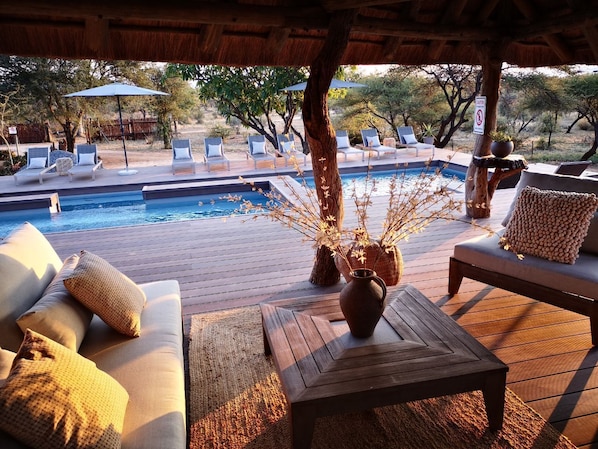 Kolam renang outdoor, dengan payung kolam renang dan kursi berjemur