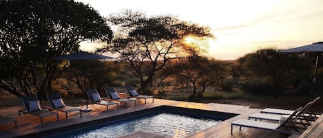 Outdoor pool, pool umbrellas, pool loungers