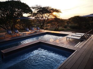 Outdoor pool, pool umbrellas, sun loungers - Tshukudu Game Lodge (Hoedspruit)