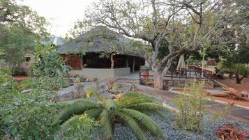 Escape to a serene natural oasis with a rustic retreat surrounded by lush vegetation and a tranquil atmosphere.