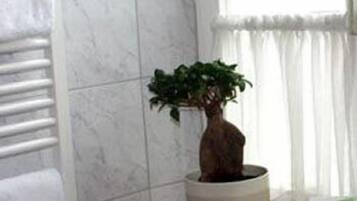 A bathroom with a potted plant on a shelf, a towel rack, and a window with curtains.