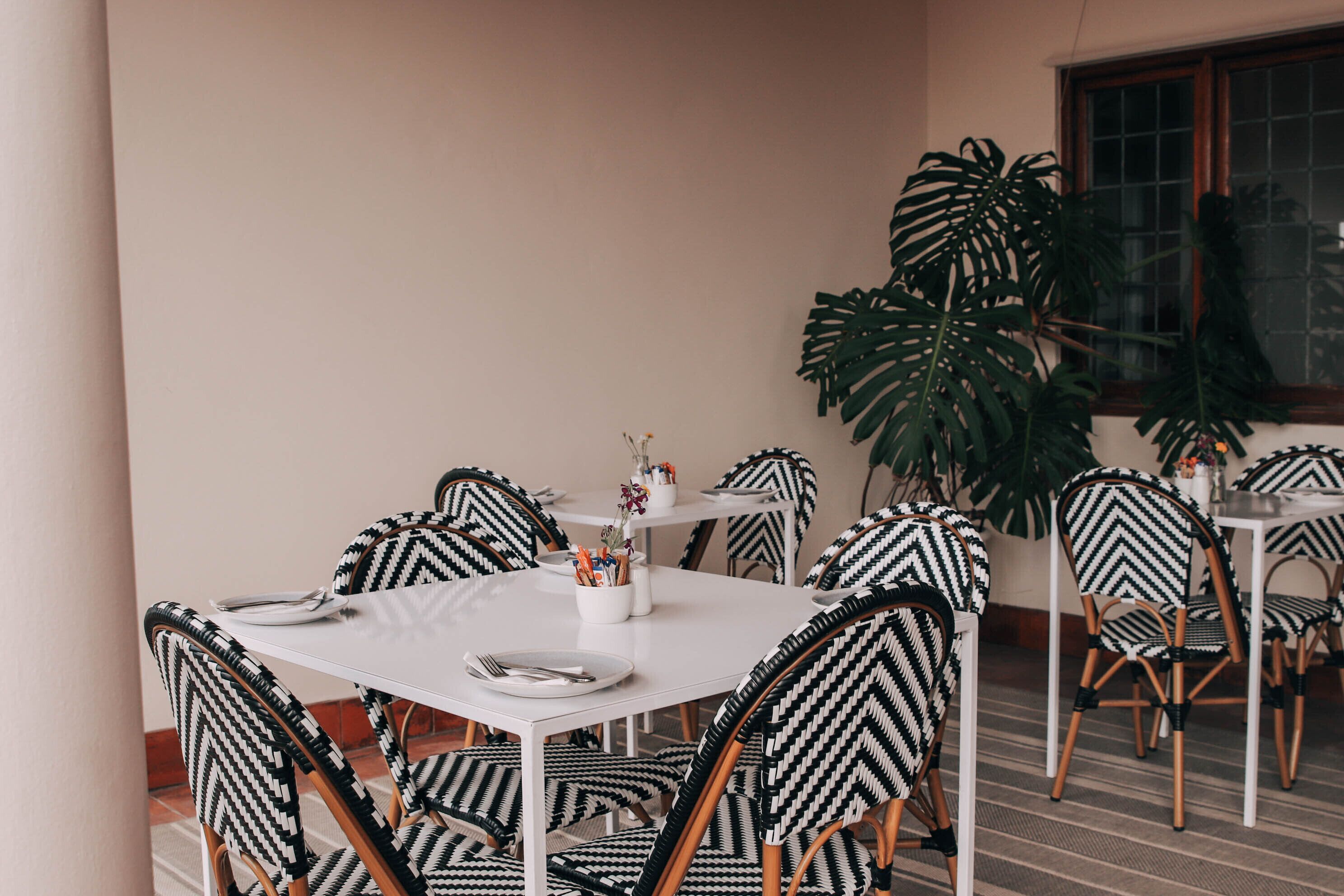 Un espace repas avec des tables et des chaises blanches, une grande plante et une fenêtre donnant sur un beau paysage.