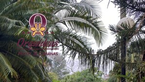 A pool area with lounge chairs and umbrellas, surrounded by lush greenery and palm trees. - Orquideas Hotel & Cabañas (Puerto Iguazú)