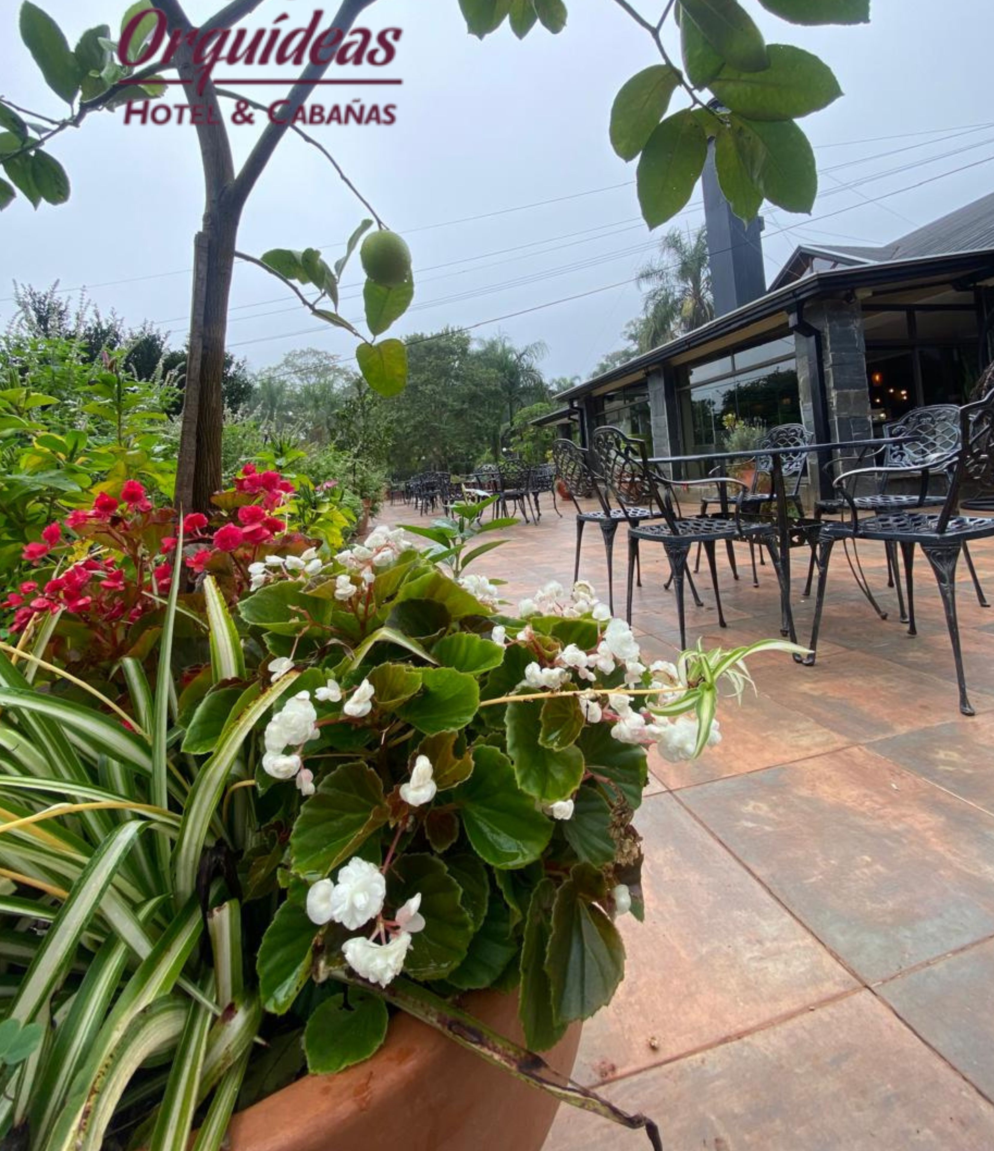Foto - Orquideas Hotel & Cabañas