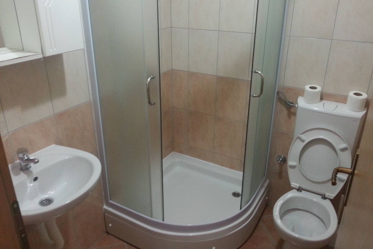 Shower, hair dryer, towels