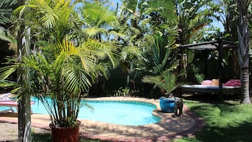 Alberca al aire libre y camastros