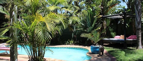 Piscina a l'aire lliure i gandules