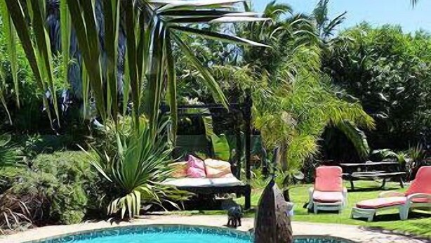 Una piscina rodeada de palmeras y sillas de descanso.