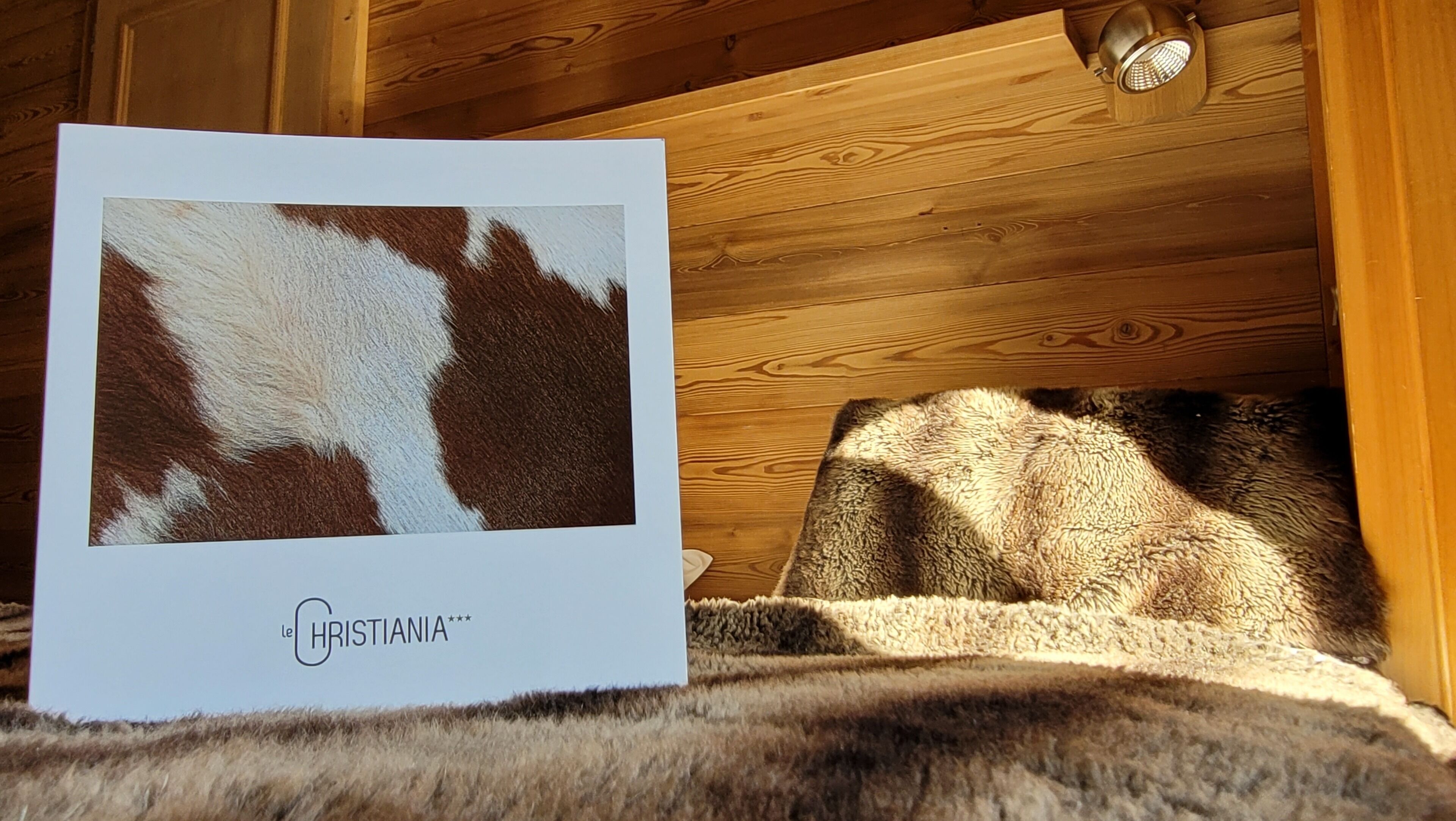 twin room | desk, soundproofing, iron/ironing board, free wifi