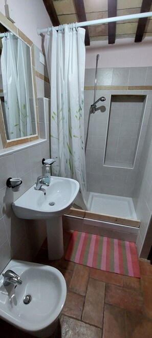 Un baño con lavamanos, espejo, ducha e inodoro.