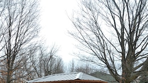Un gazebo in legno con tetto metallico, circondato da un prato e alberi.