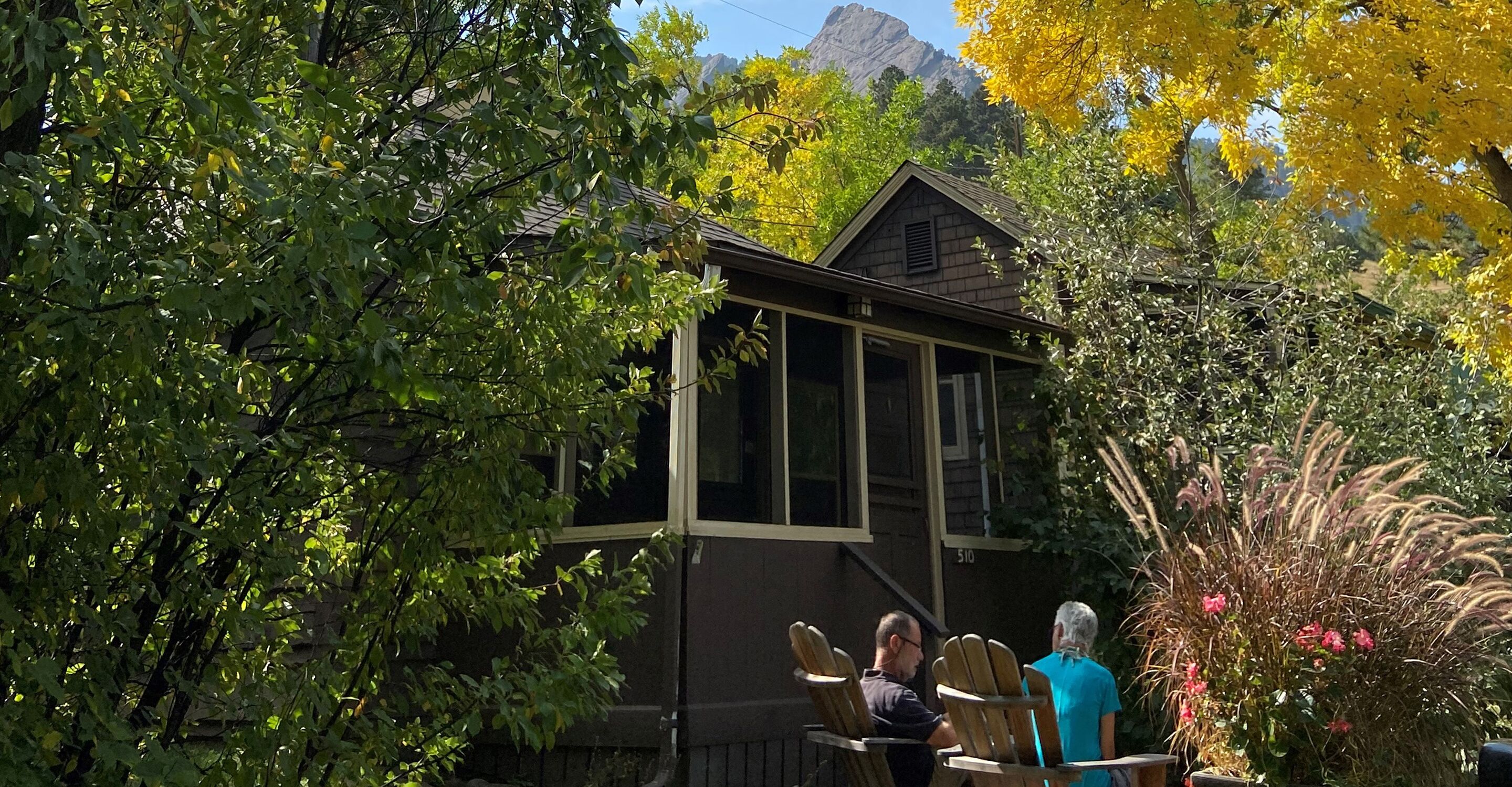 A house with a large window, surrounded by trees and plants.