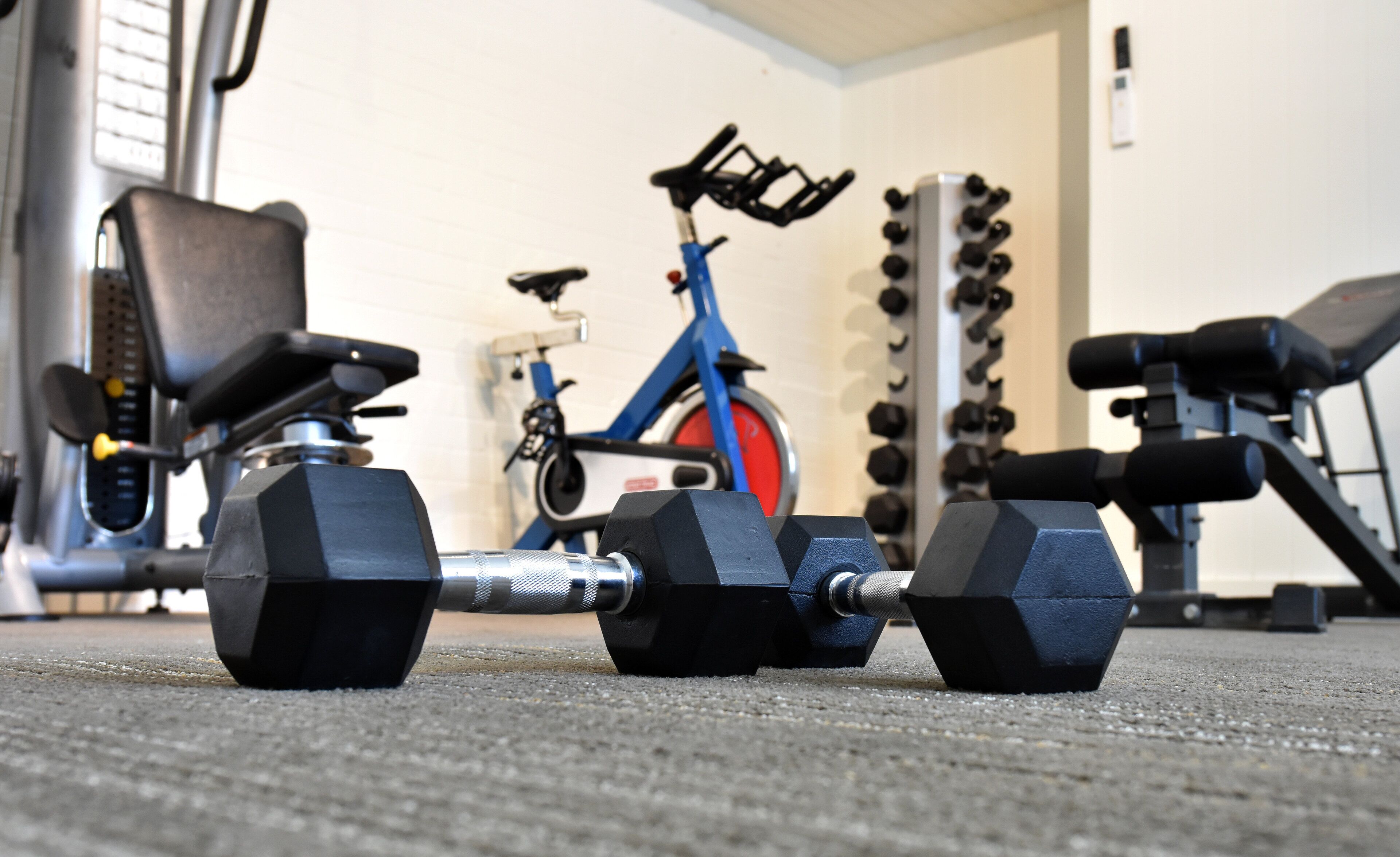 Une salle de sport équipée de matériel d’exercice, notamment des haltères, un vélo d’appartement et un rameur.