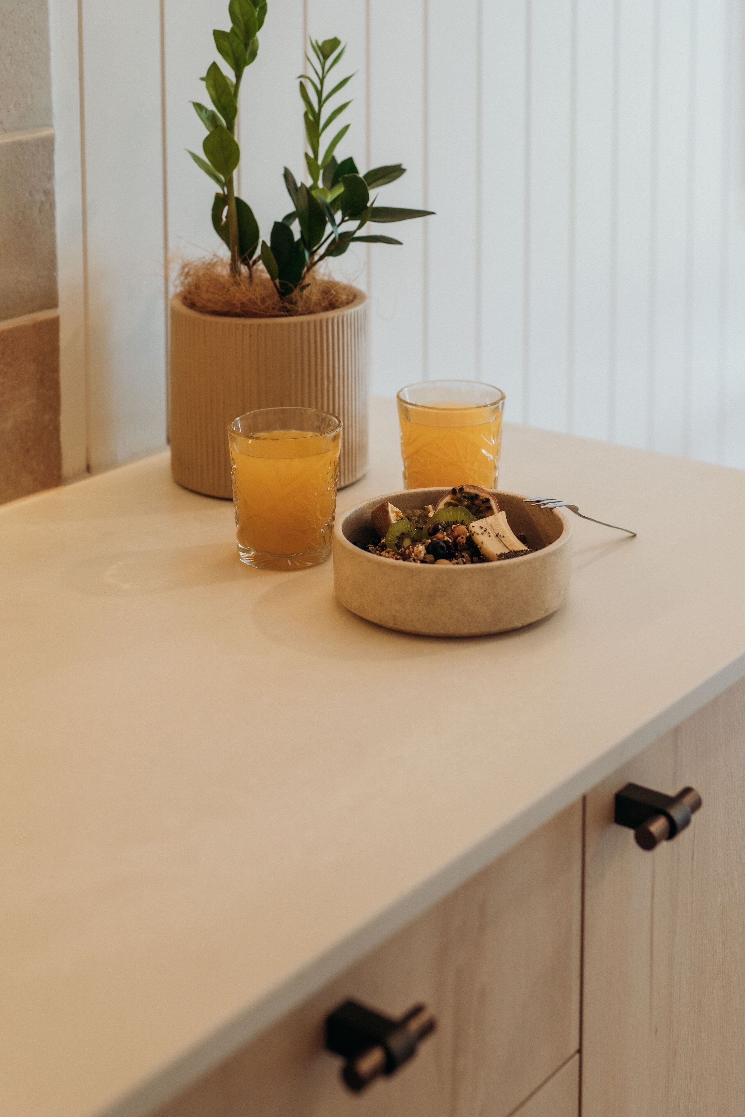 A kitchen counter with a potted plant, two glasses of orange juice, and a bowl of fruit.