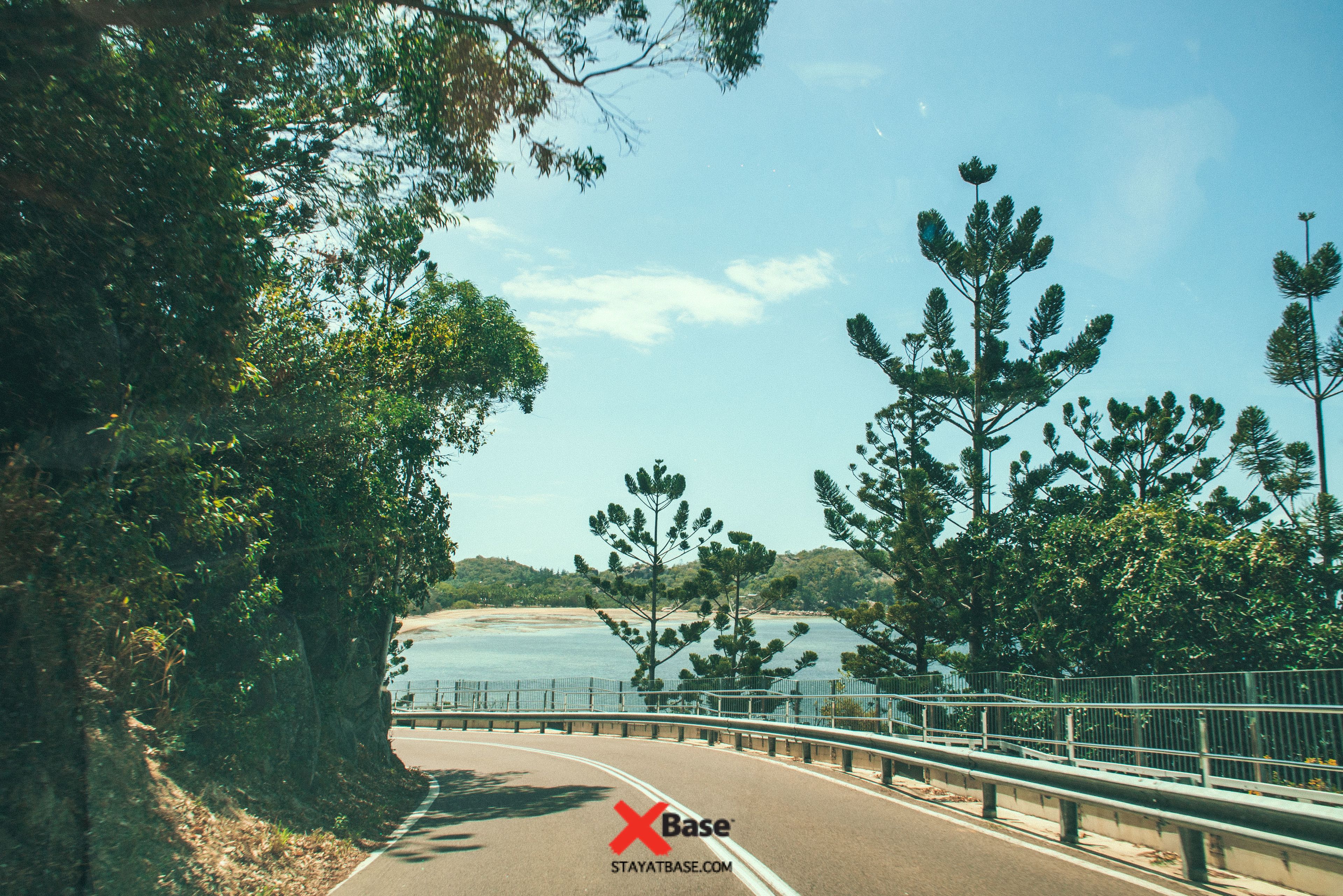 A coastal road with a metal guardrail, trees, and a clear sky.