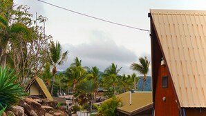 Un sendero de madera que lleva a un edificio con techo inclinado, rodeado de vegetación tropical y palmeras.