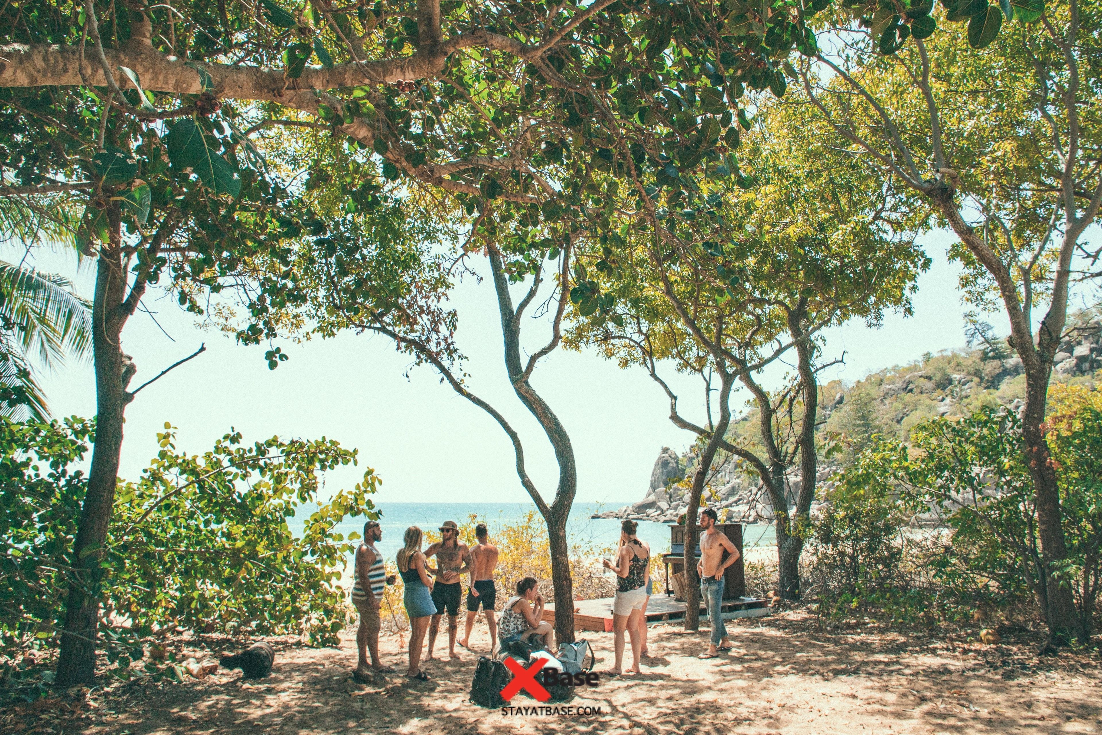 A group of people gathered under trees by a beach.