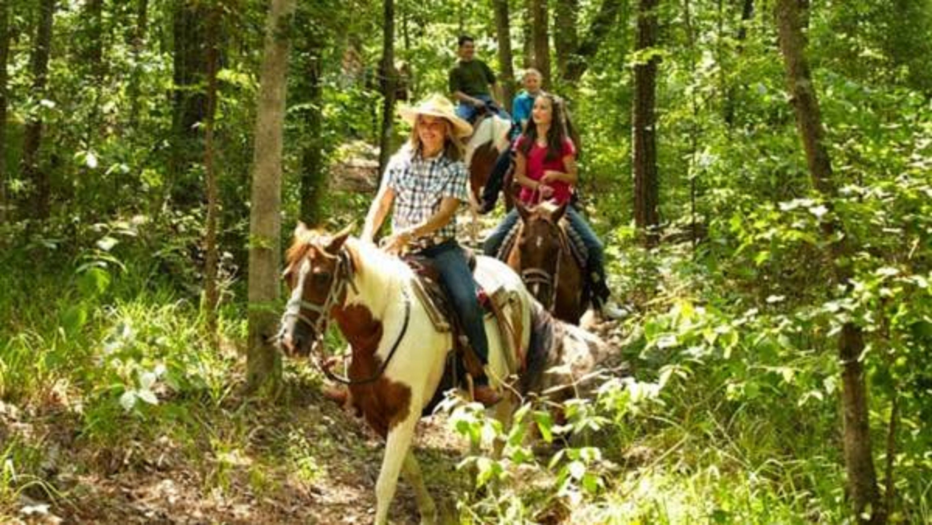 Un grupo de personas montando a caballo por un bosque.