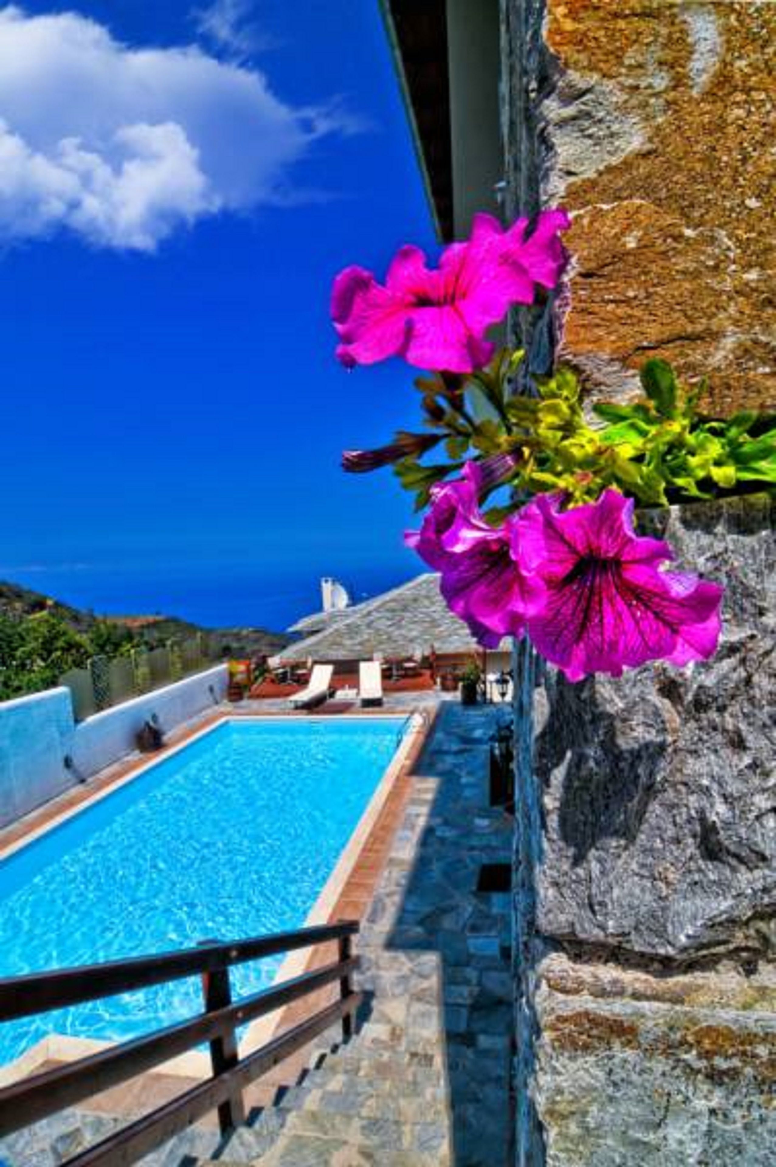 Outdoor pool, pool loungers