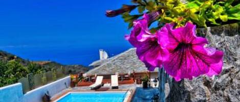 Vista de la piscina con cielo azul despejado, una pared de piedra y flores rosadas vibrantes.