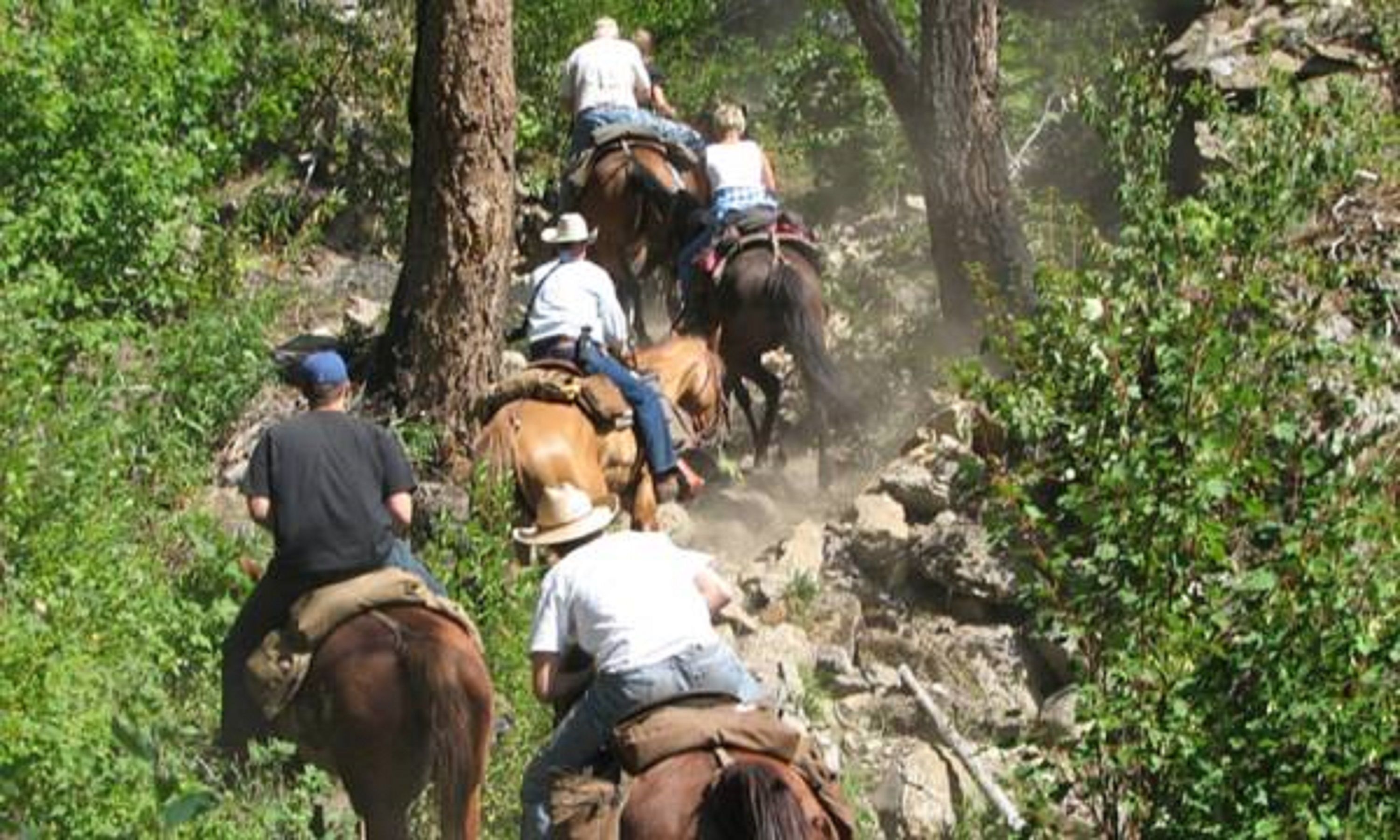 Un grupo de personas montando a caballo por un sendero estrecho rodeado de árboles.