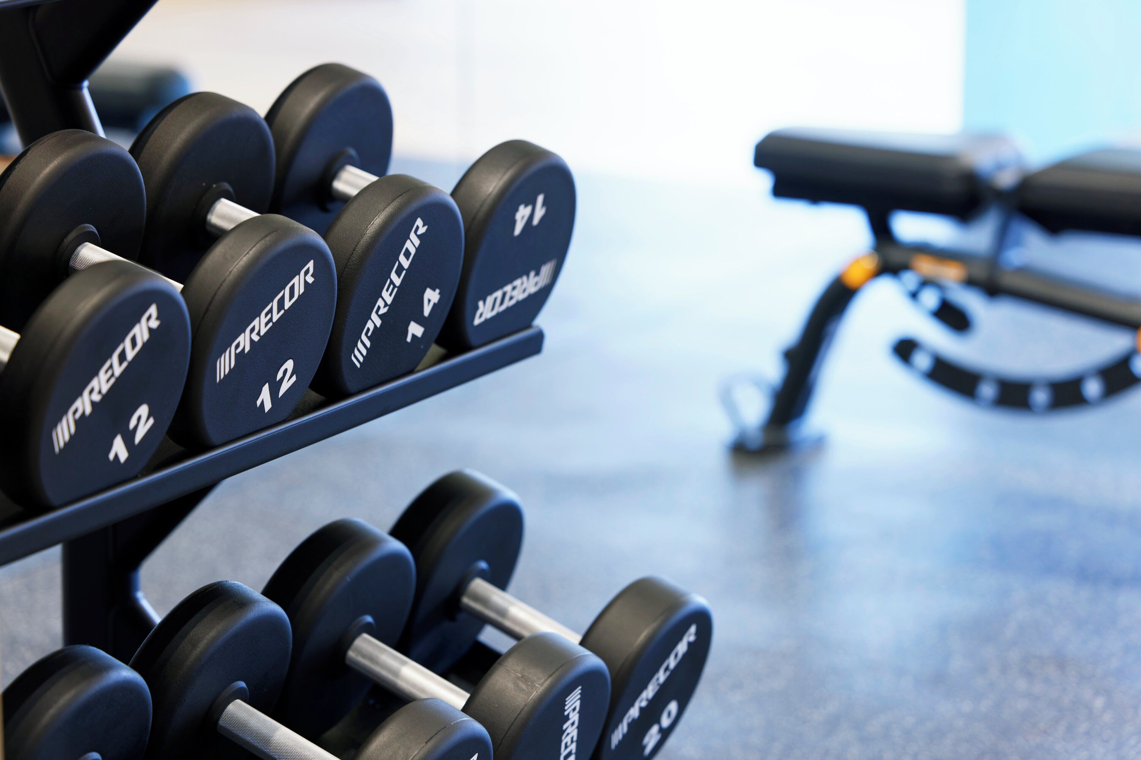 A rack of black dumbbells labeled IMPRECOR 12 and IMPRECOR 10.