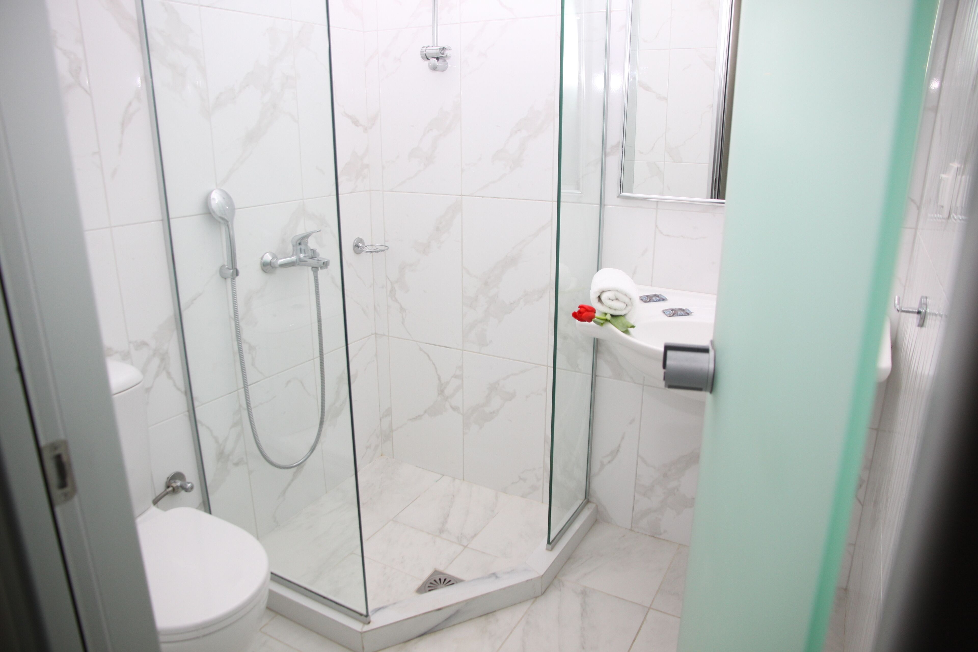 A modern bathroom with a glass-enclosed shower, a toilet, and a sink with a towel holder.