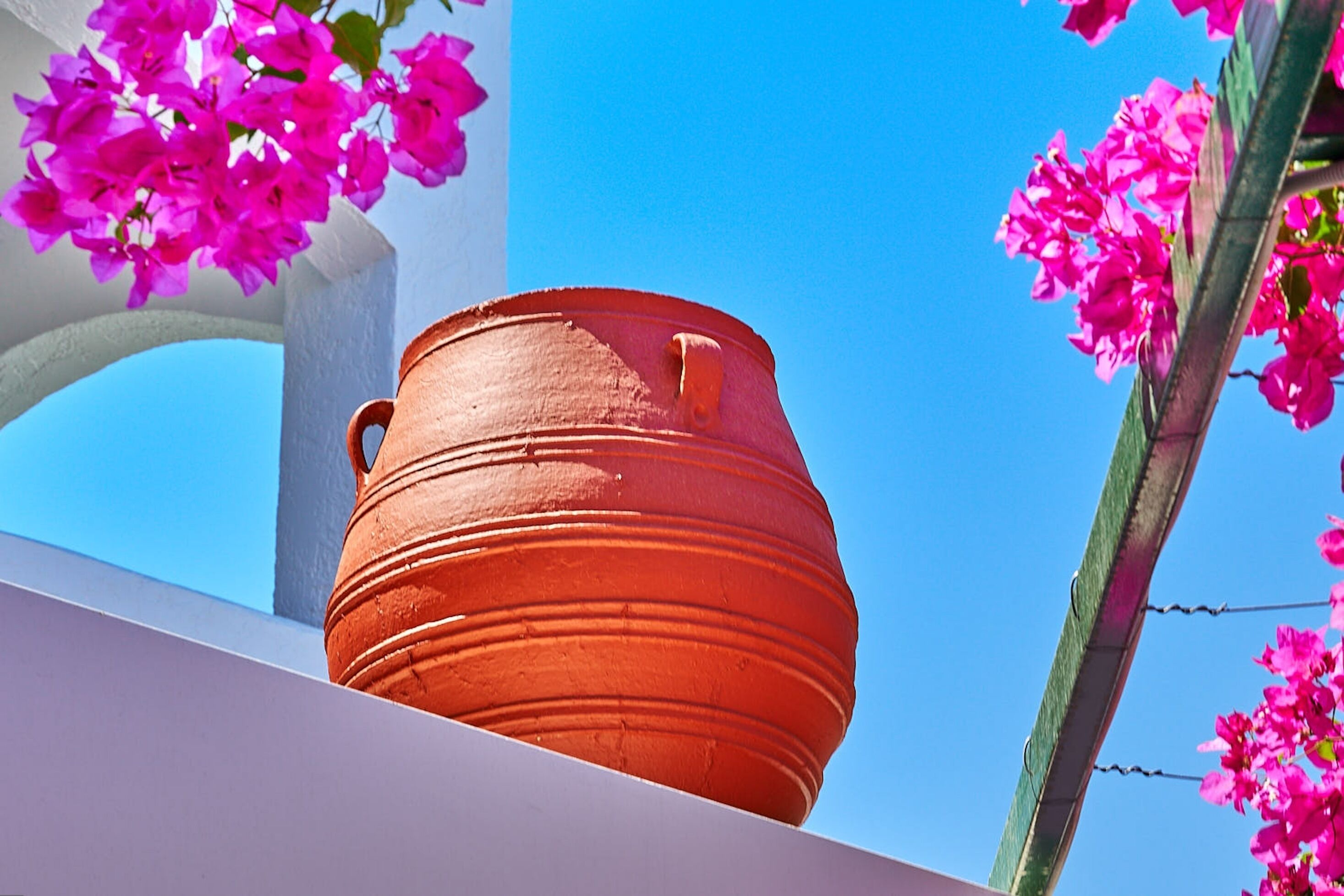 A terracotta pot with handles, positioned against a clear blue sky, with pink flowers in the foreground.