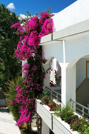 Property grounds - Apollon Hotel Apartments (Rethymno)