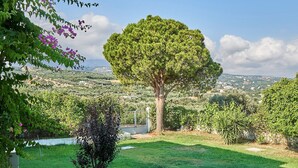 A large tree in a lush garden with a view of a distant landscape. - Apollon Hotel Apartments (Rethymno)