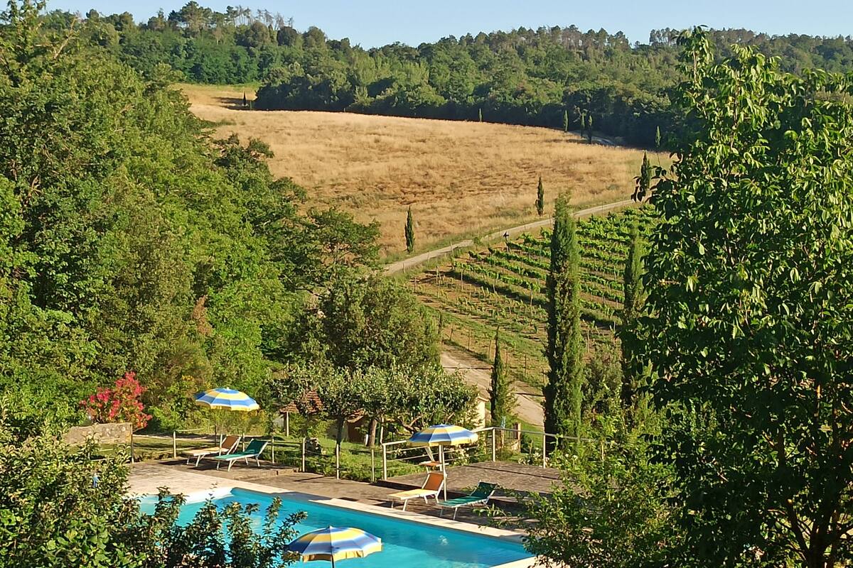 Zona de piscina con sillones de descanso y sombrillas, rodeada de exuberante vegetación y un viñedo al fondo.