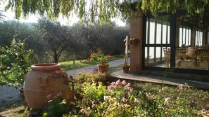 Exterior - San Bernardino del Lago (Rapolano Terme)