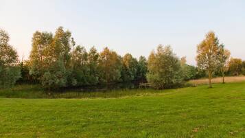 A grassy field with trees and a small body of water.