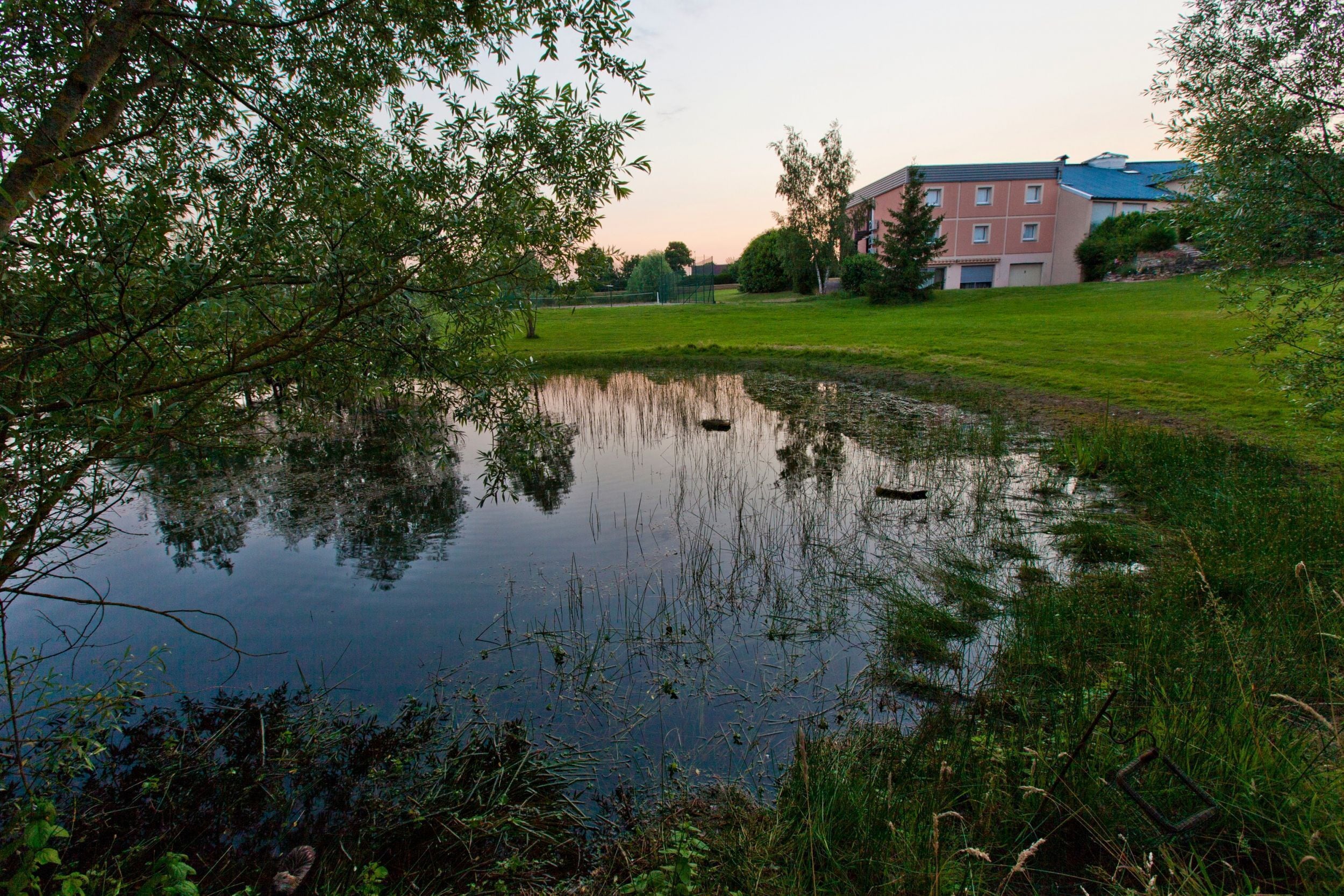 Ein Teich, umgeben von Grün, mit einem Gebäude im Hintergrund.