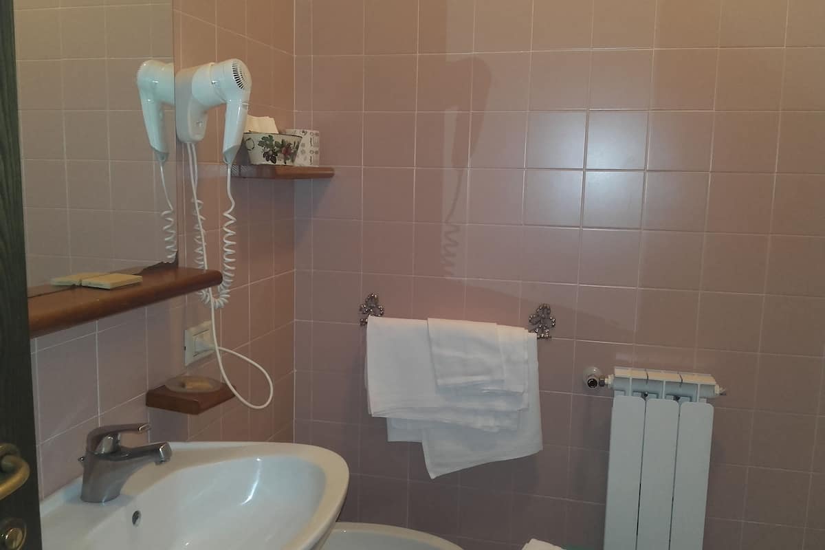 single room | bathroom | shower, free toiletries, hair dryer, bidet