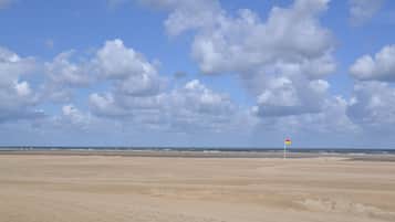 On the beach
