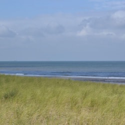 On the beach