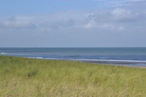 On the beach - Fletcher Hotel-Restaurant Elzenduin (Ter Heijde)