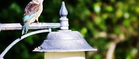 A bird perched on a metal lamp post with a spherical light fixture.
