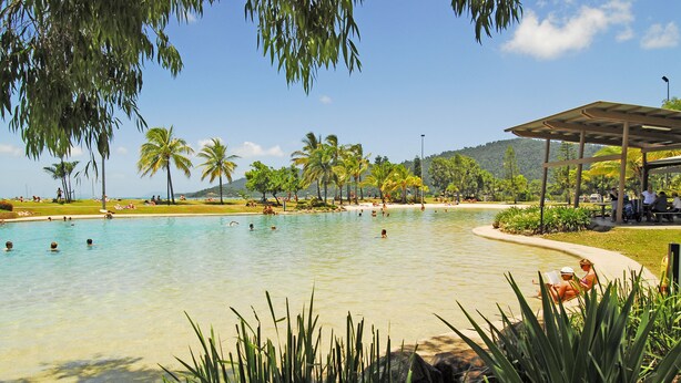 Una piscina con agua cristalina, rodeada de palmeras y una zona de estar cubierta.